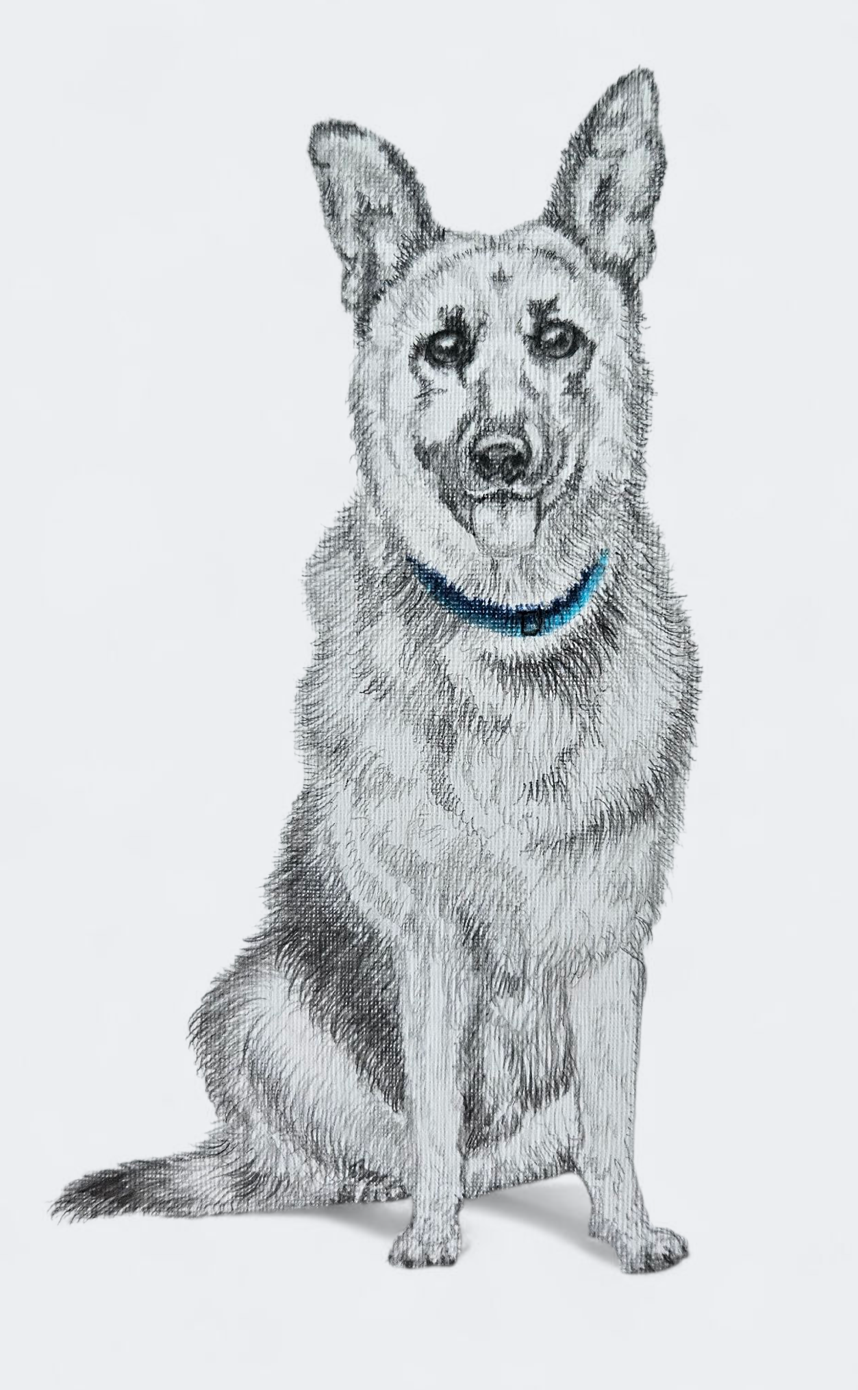 Original German Shepherd Drawing
