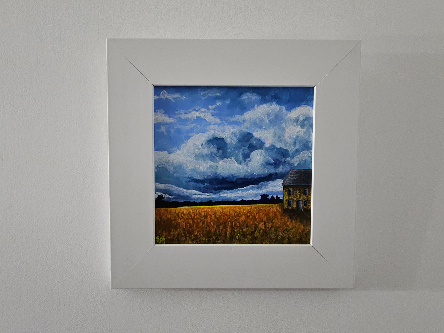 Orange Fields