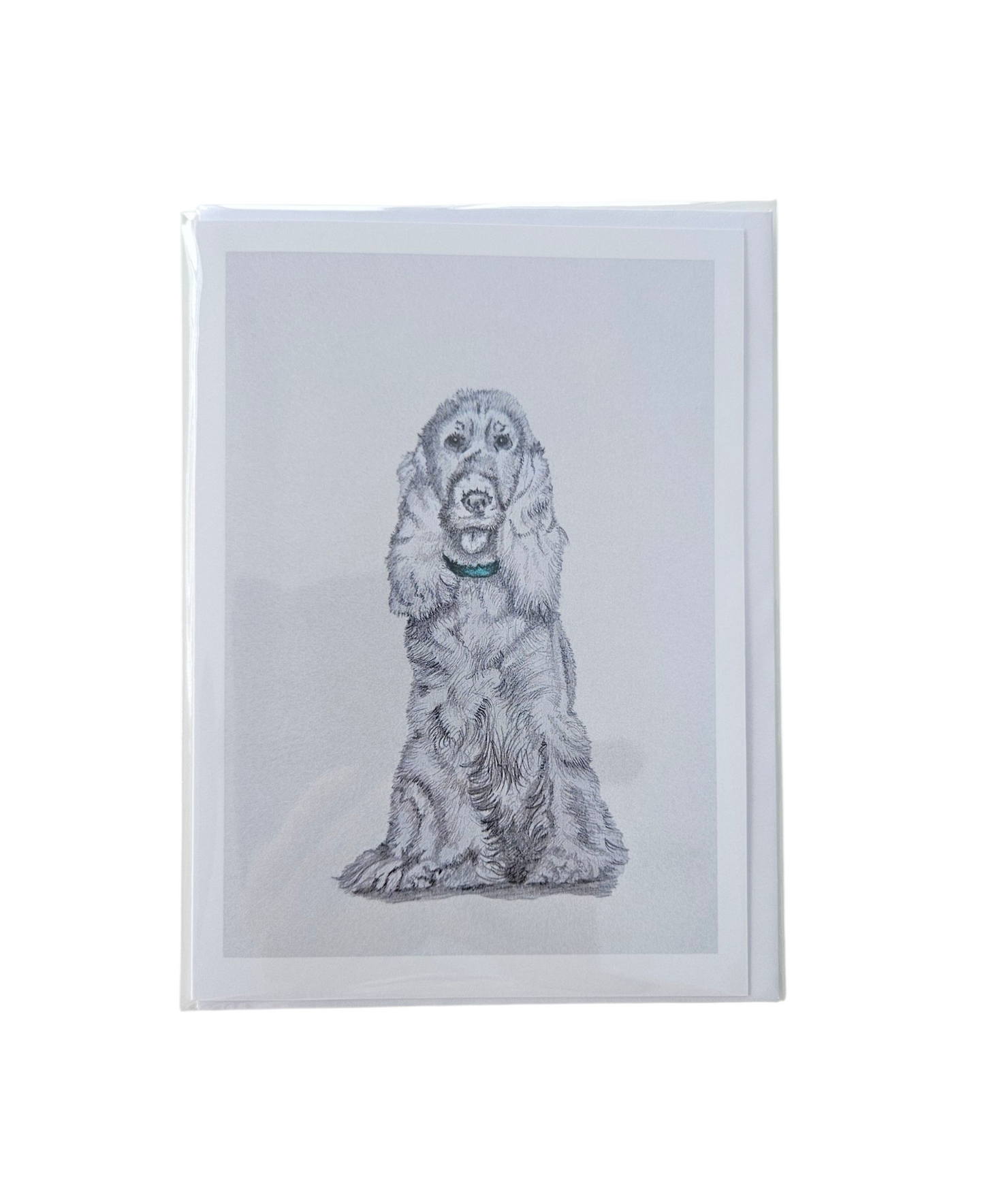 Spaniel Card