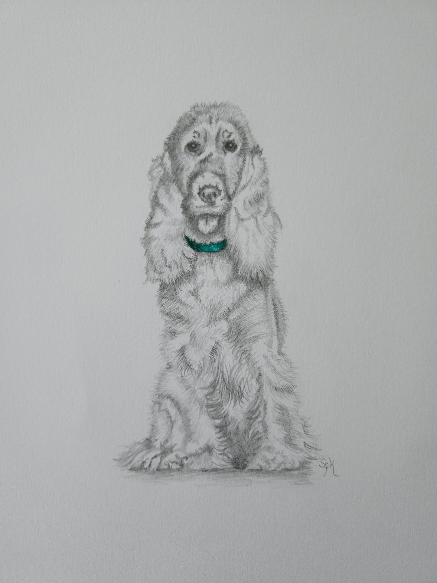 Original Drawing Spaniel