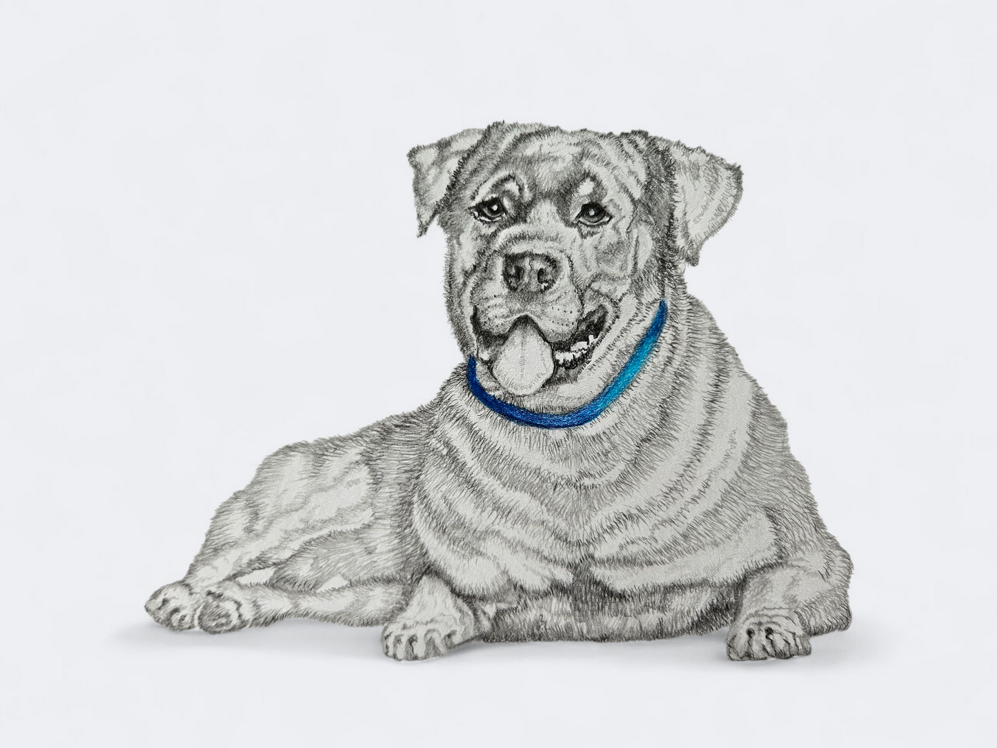 Original Rottweiler Drawing