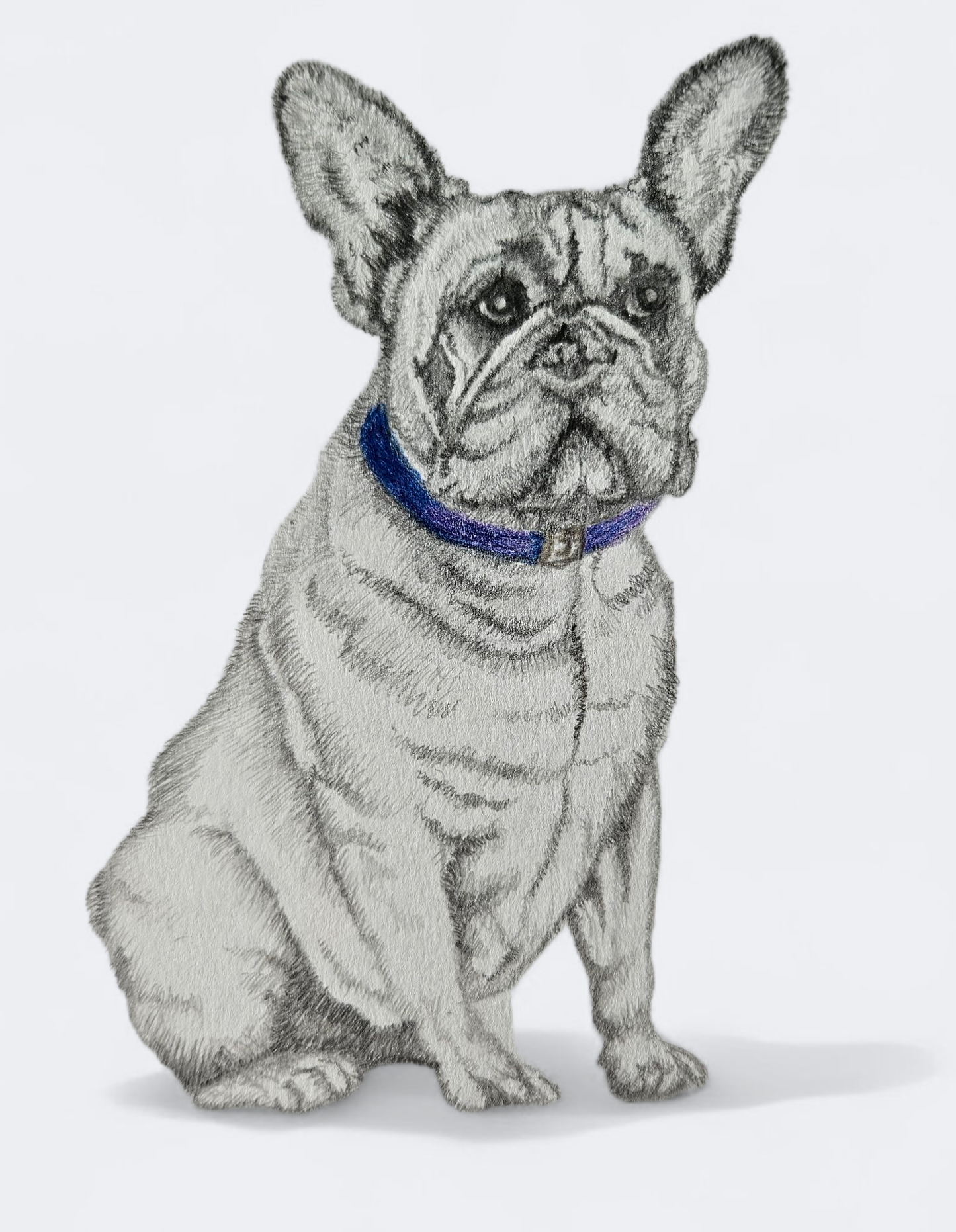 Original French Bulldog Drawing