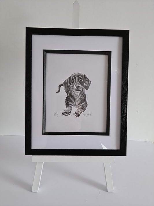Dachshund Drawing Framed