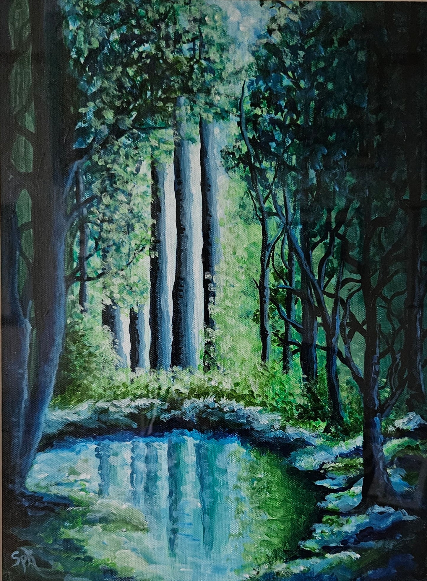 Tranquil Woods