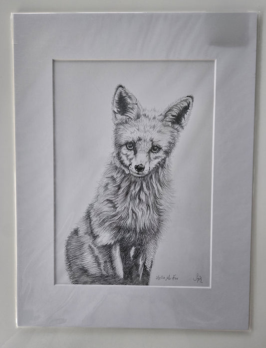 Hello Mr Fox Drawing