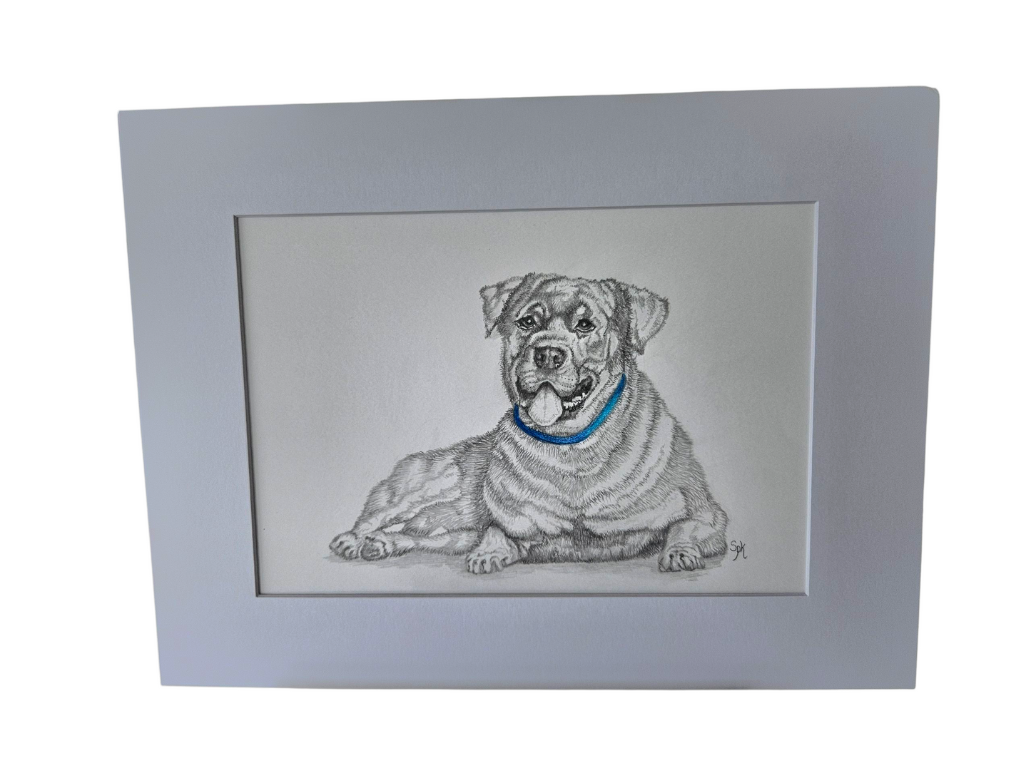 Original Rottweiler Drawing