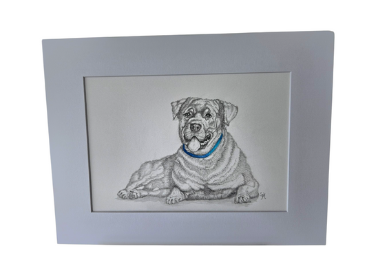 Original Rottweiler Drawing
