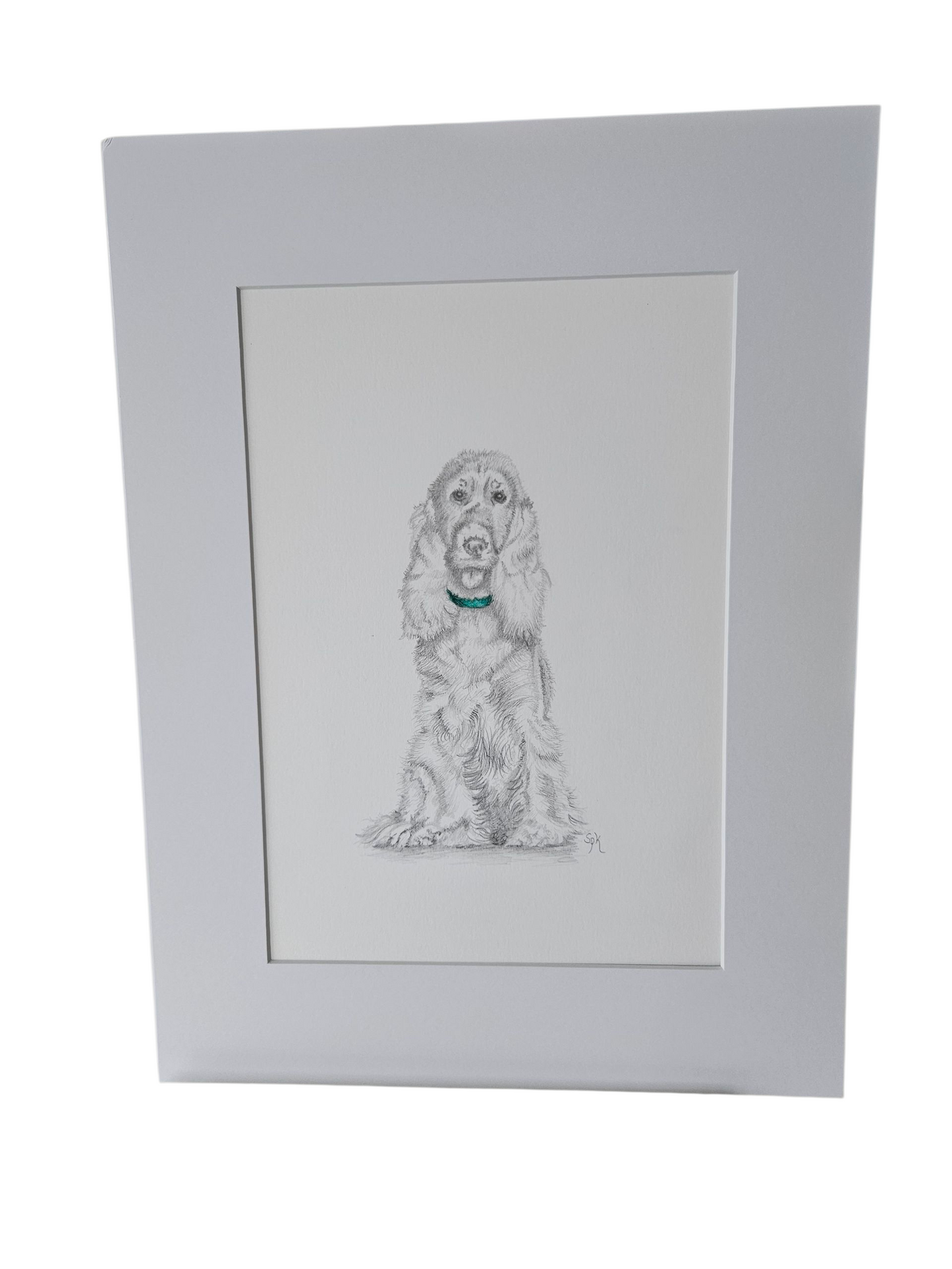 Original Drawing Spaniel