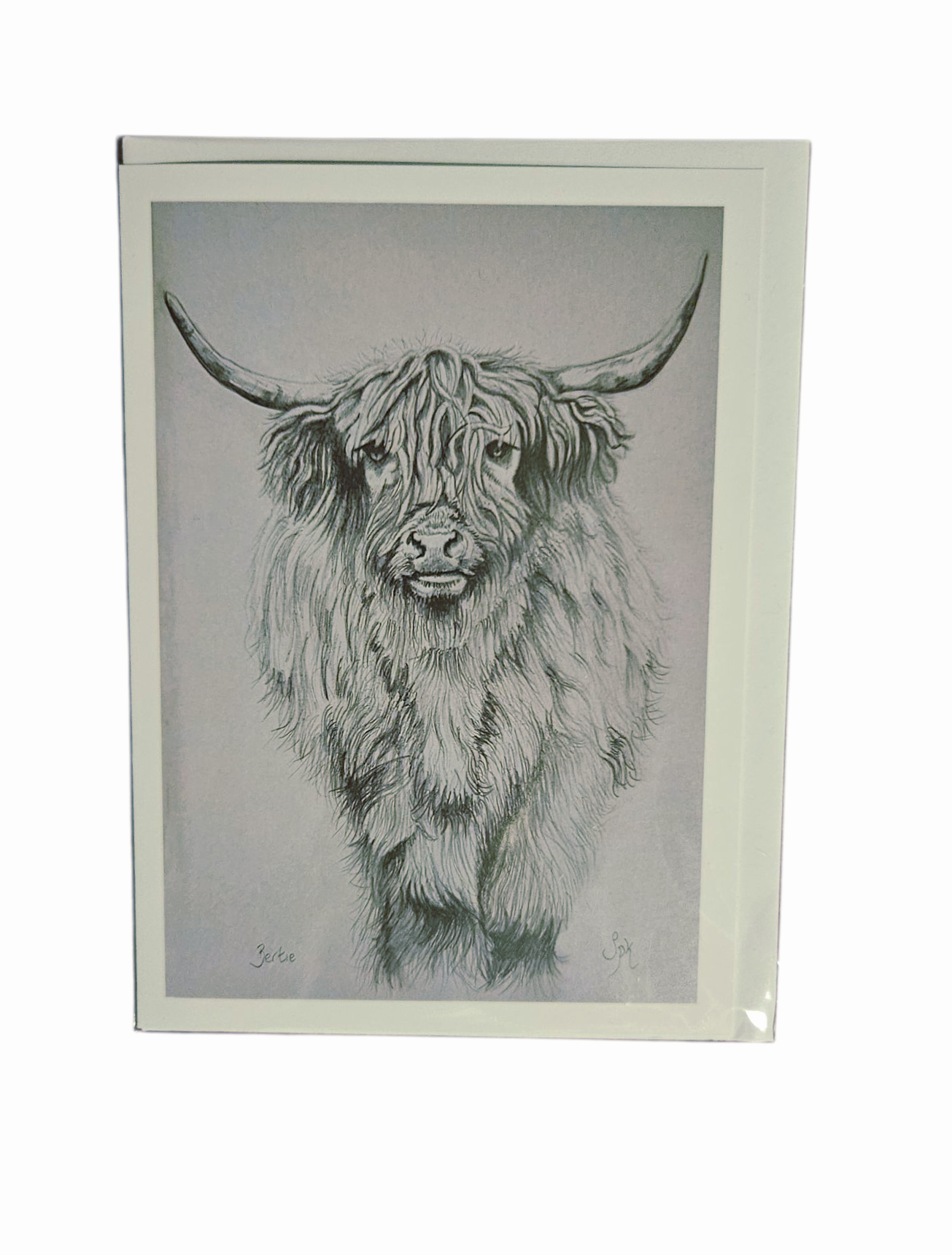 Highland Cow Card