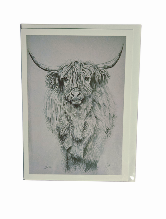 Highland Cow Card