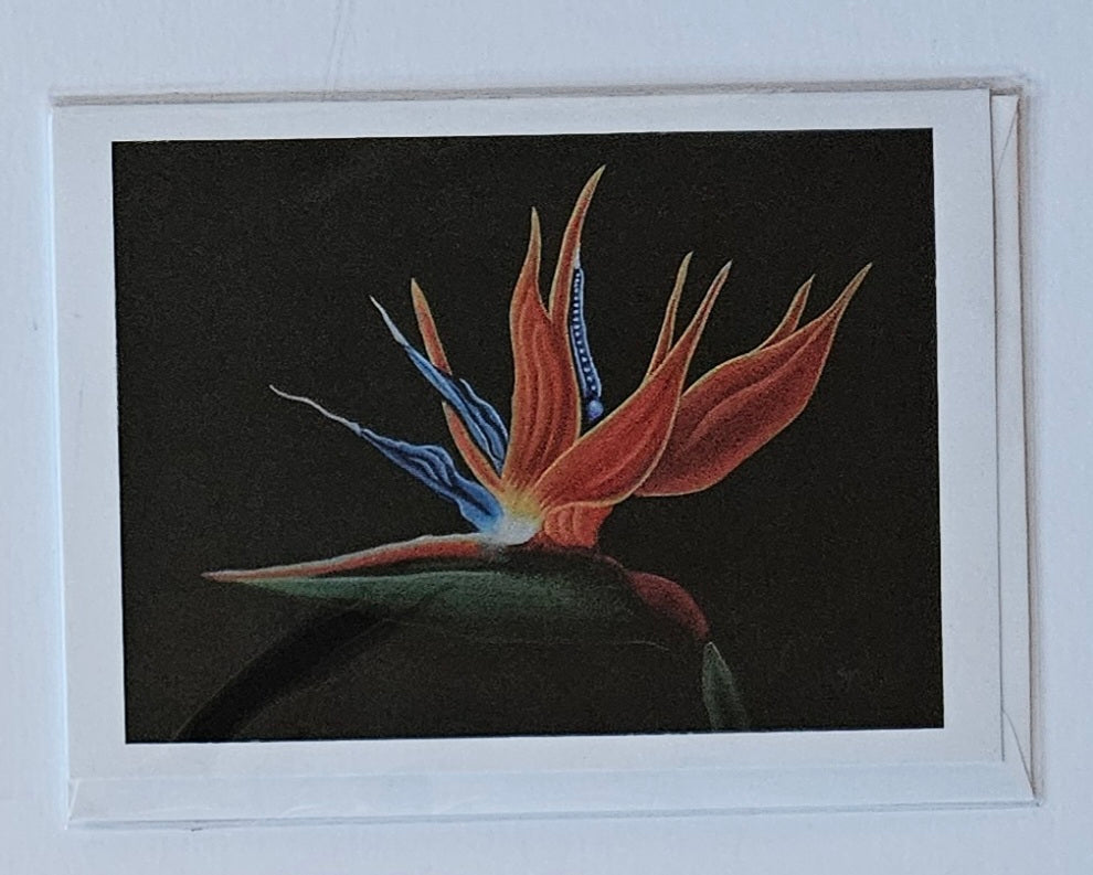 Bird Of Paradise Card