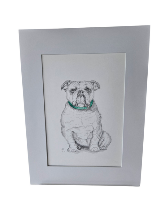 Original Bulldog Drawing