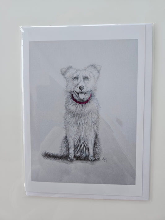 Collie Card