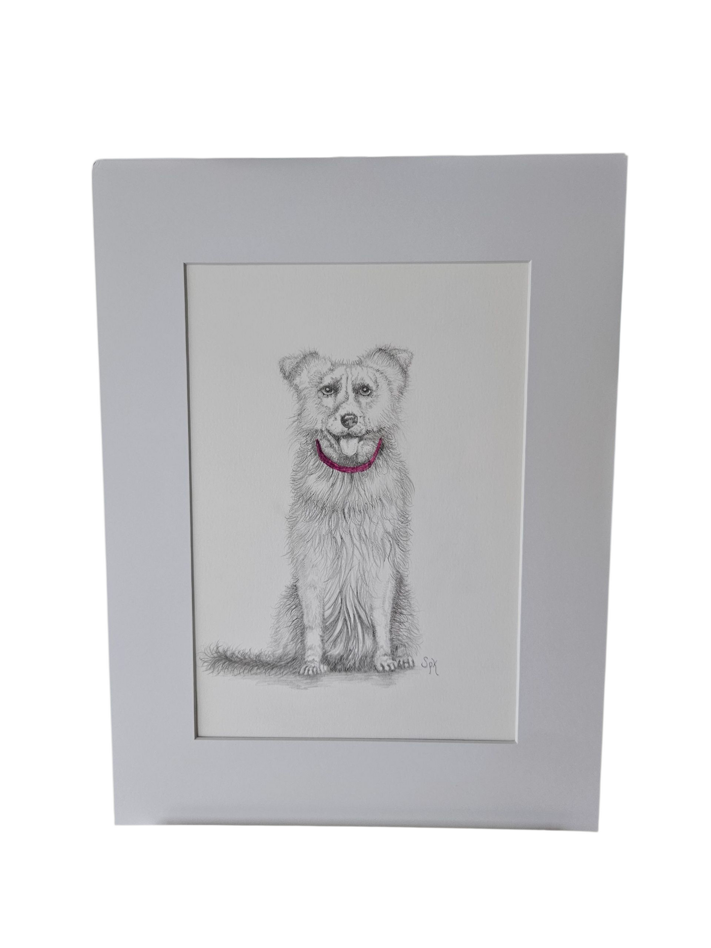 Original Collie Drawing