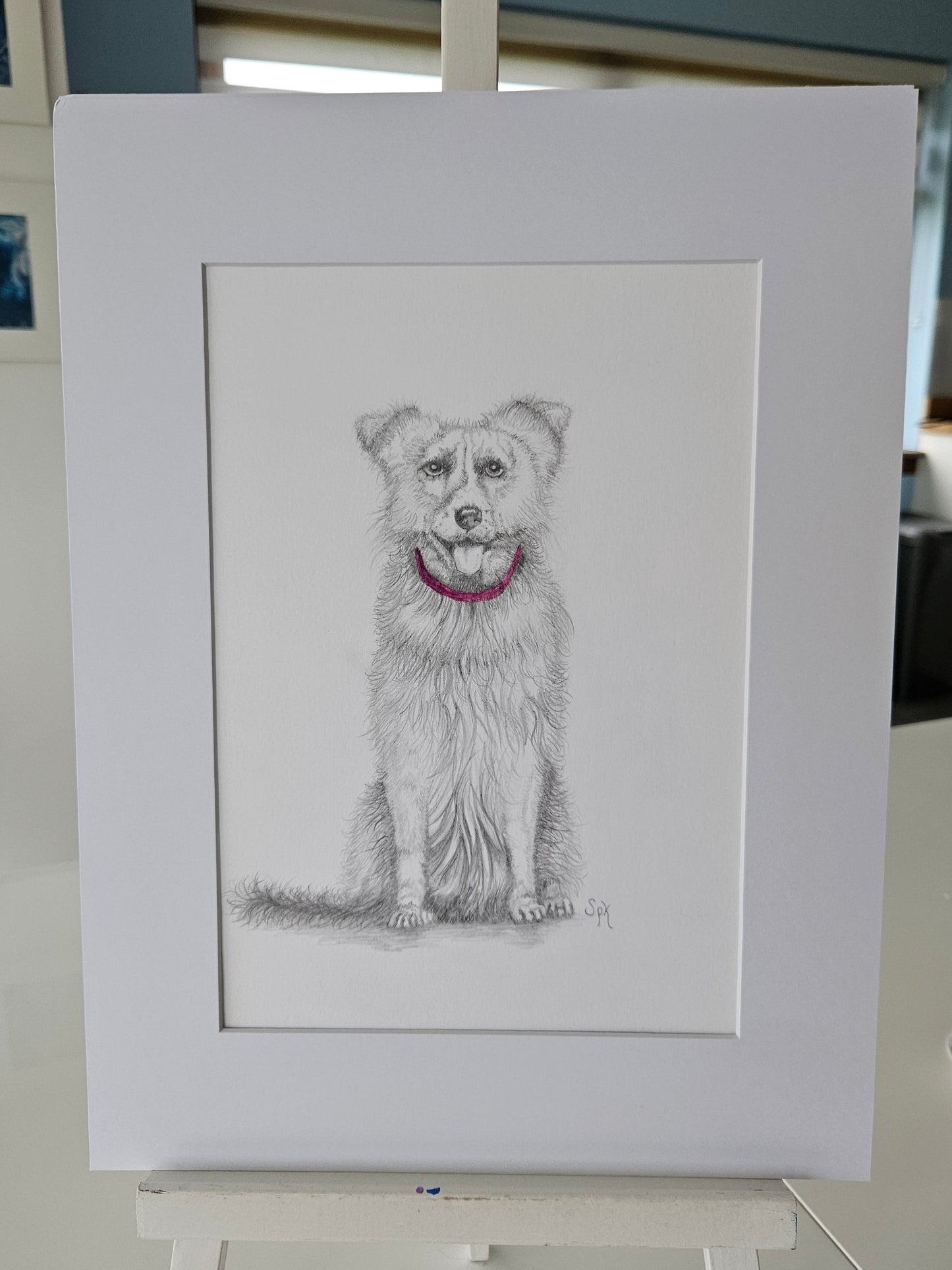 Original Collie Drawing