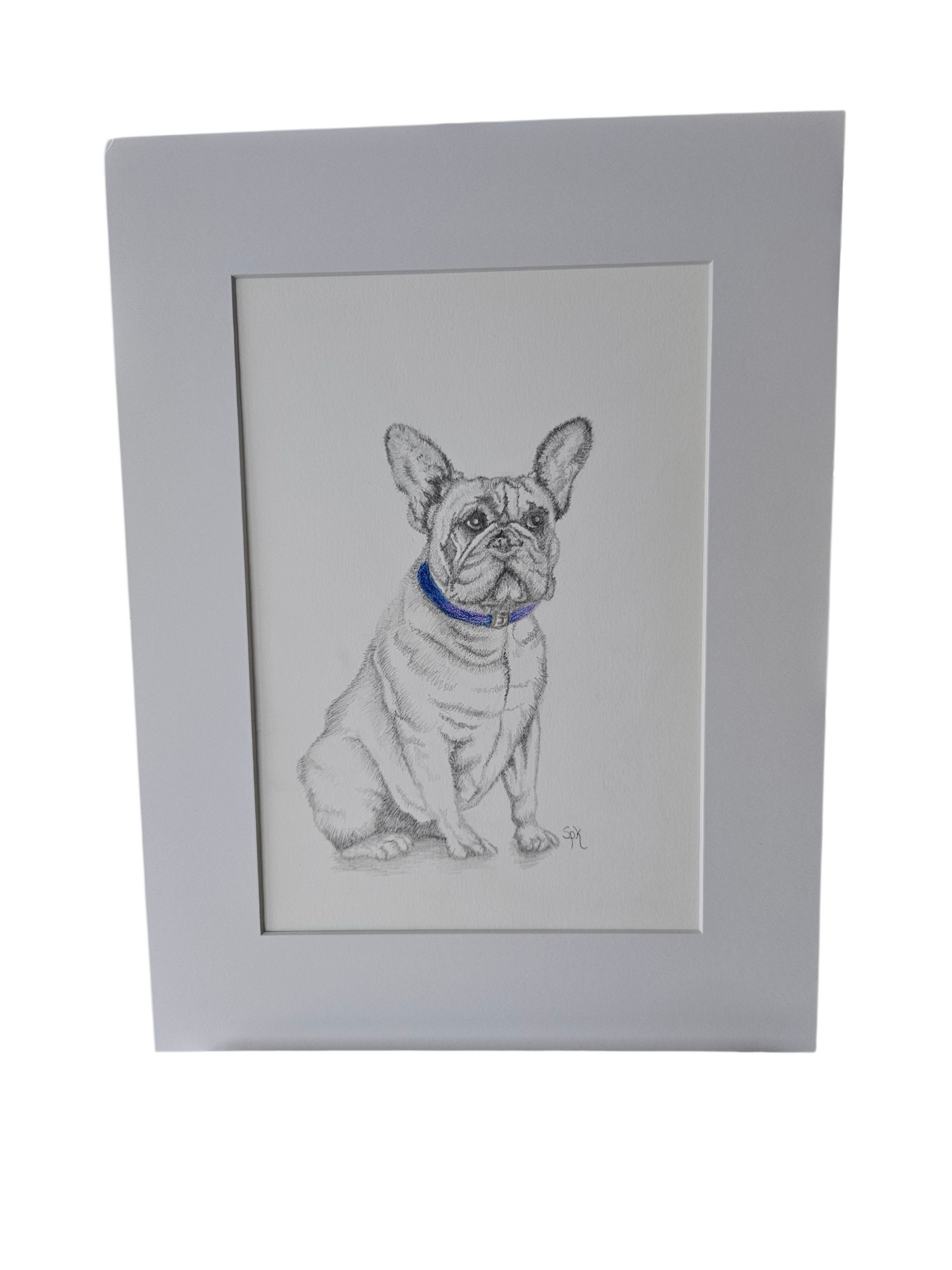 Original French Bulldog Drawing