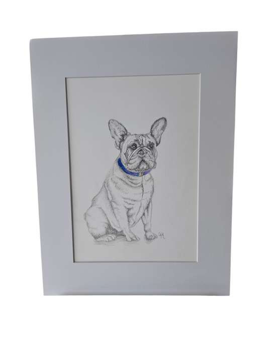 Original French Bulldog Drawing