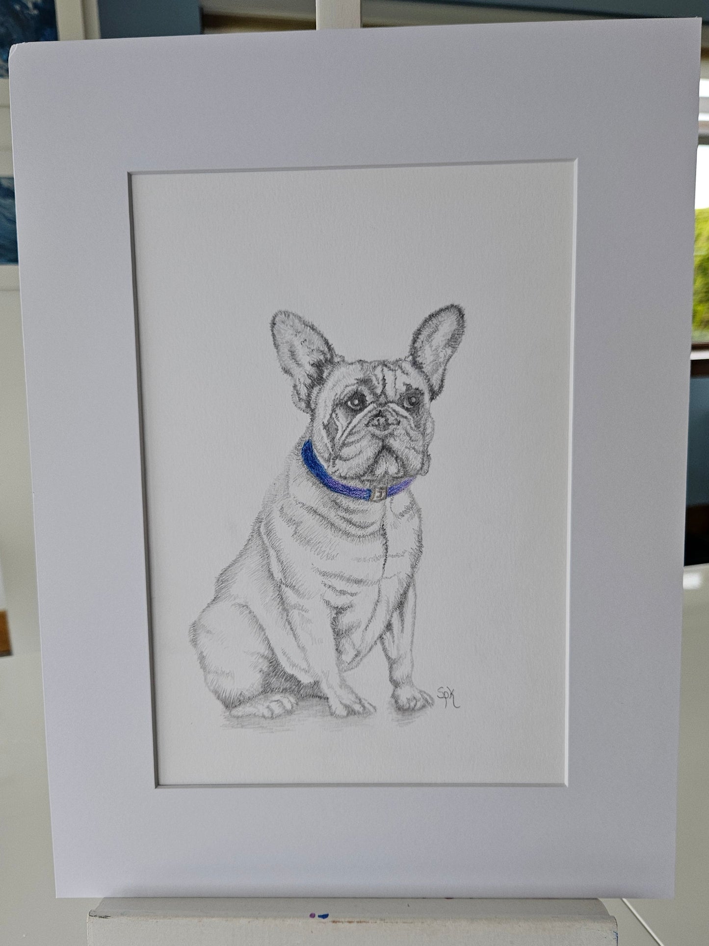 Original French Bulldog Drawing