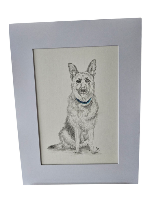 Original German Shepherd Drawing