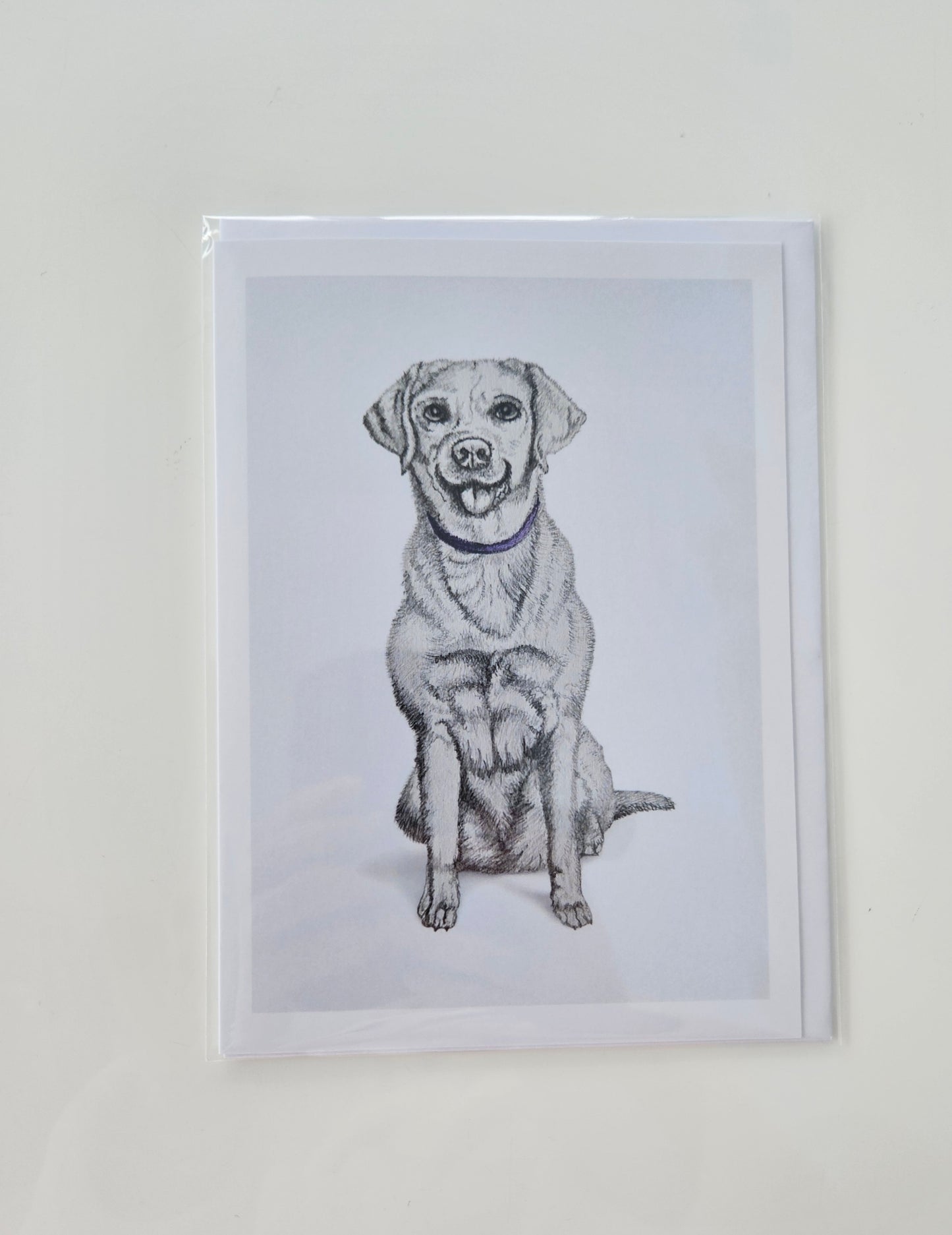 Labrador Card