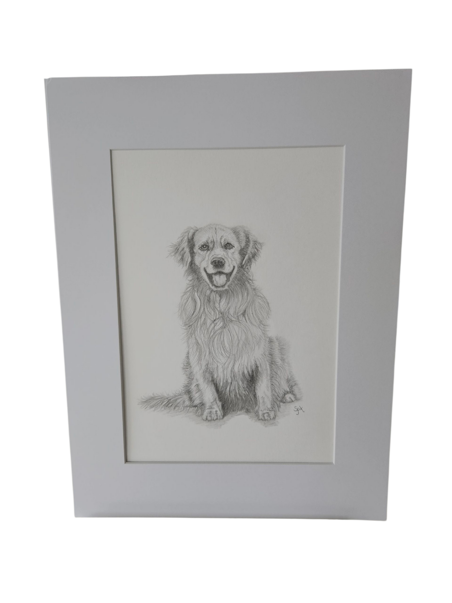 Original Retriever Drawing
