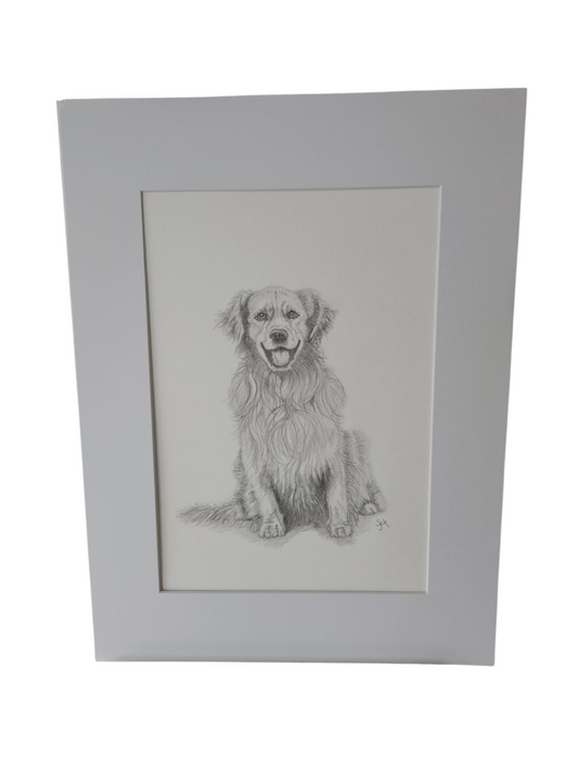 Original Retriever Drawing