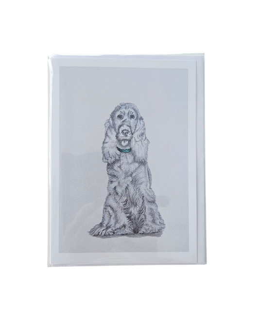 Spaniel Card